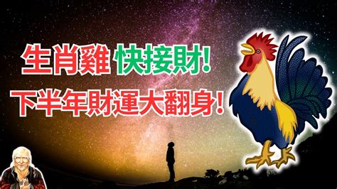 屬雞今年幸運色|2024 年屬雞星座運勢：非常積極的一年